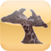 Animal Sounds Memory Quiz